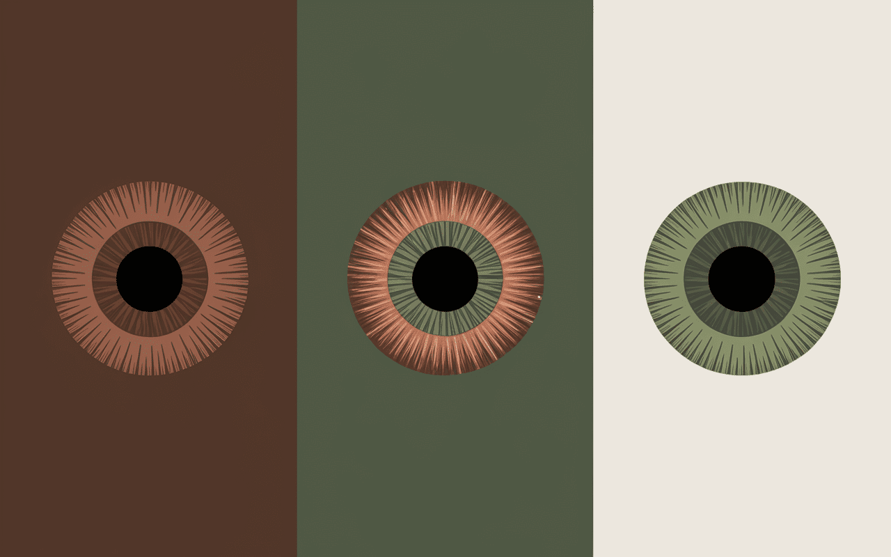 Comparaison yeux brun vert hazel